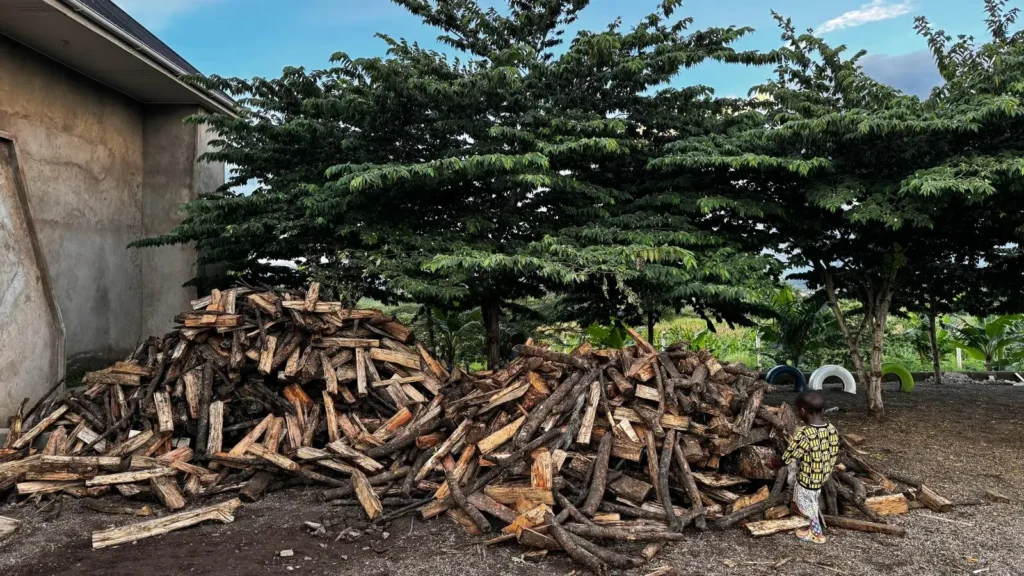 Bild von einem Stapel von Brennholz